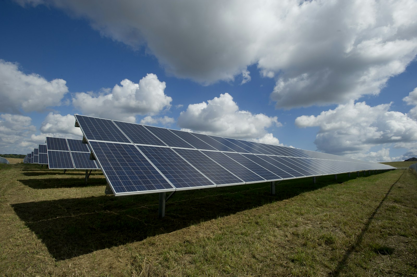 Rows of solar photovoltaic panels